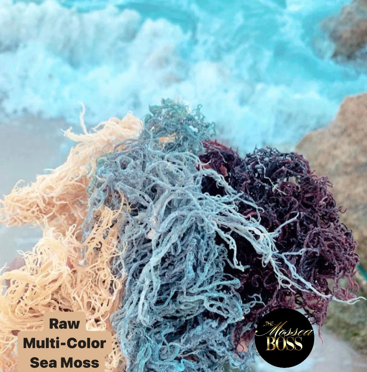 RAW Sea Moss (MULTI-COLOR)