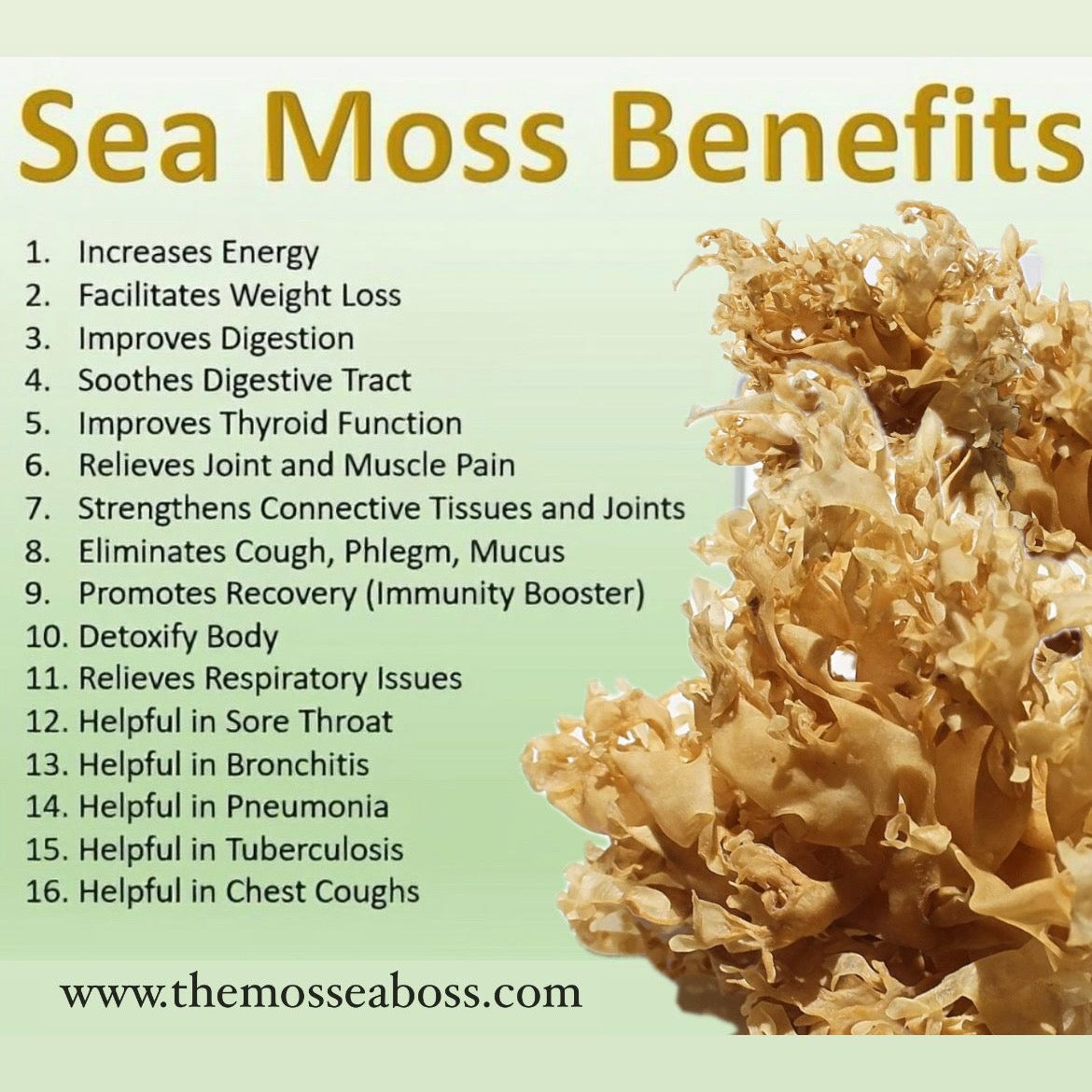 RAW Sea Moss (GOLD or PURPLE)