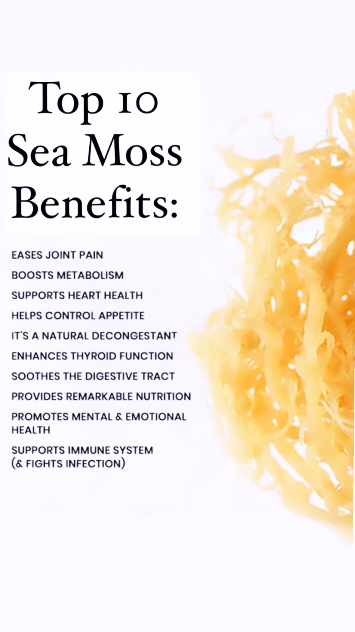 Sea Moss Gel (Plain) Gold