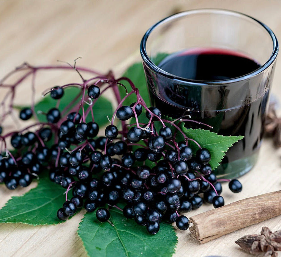 Elderberry Syrup (8 OZ)
