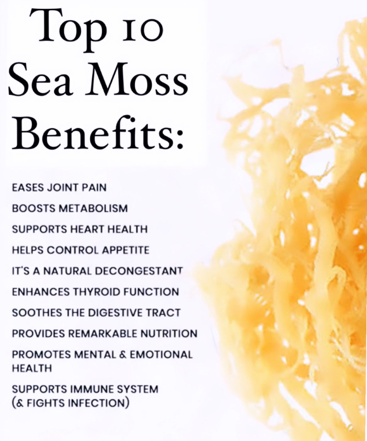 Sea Moss Gel (Applesauce Moss) Kid Approved